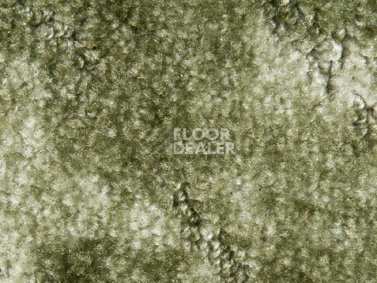 Ковролин Associated Weavers Tango 20 фото 1 | FLOORDEALER